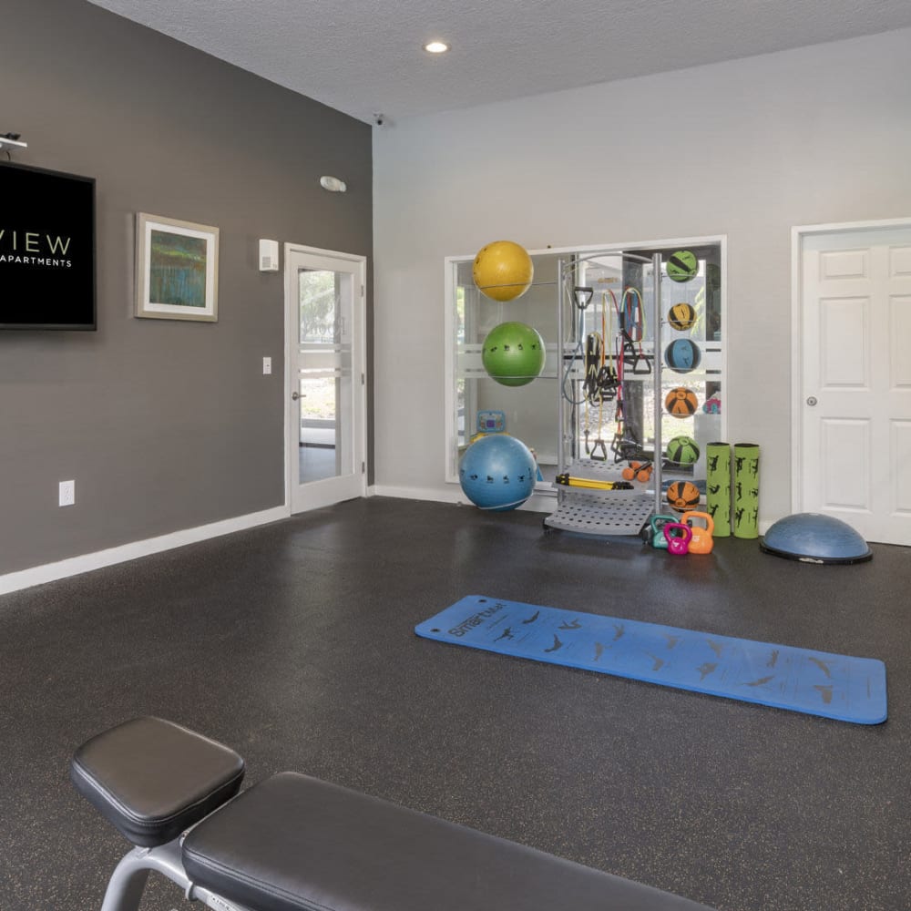 Yoga center at Lakeview at Palm Harbor in Palm Harbor, Florida