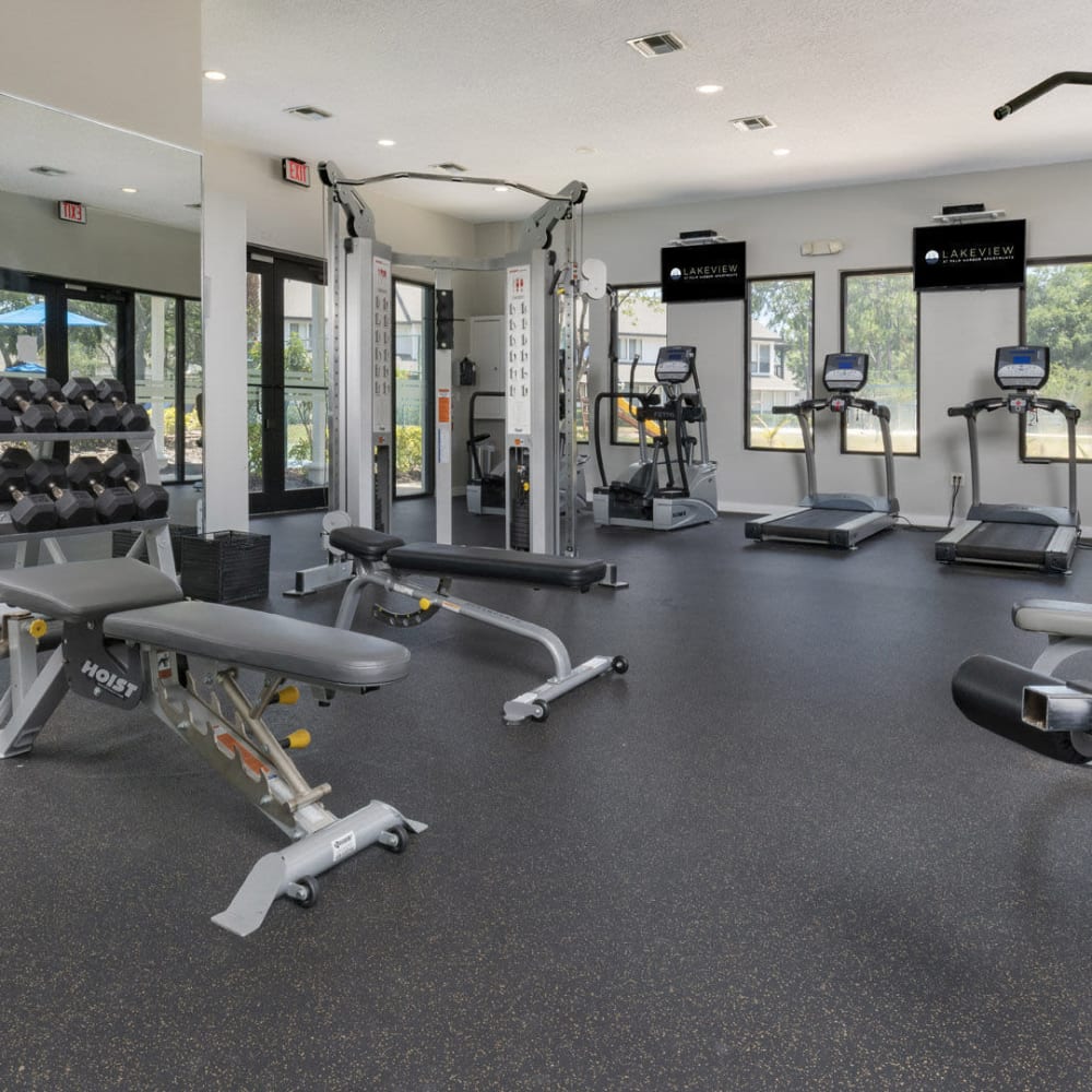Large fitness center at Lakeview at Palm Harbor in Palm Harbor, Florida