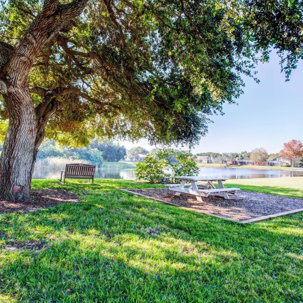 Picnic areas by the pond at Bayou Point in Pinellas Park, Florida