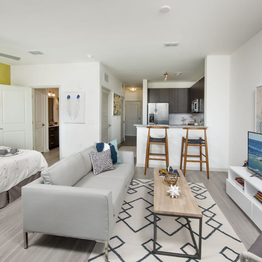 Studio living space with wood-style flooring at Alcove Apartments in Orlando, Florida