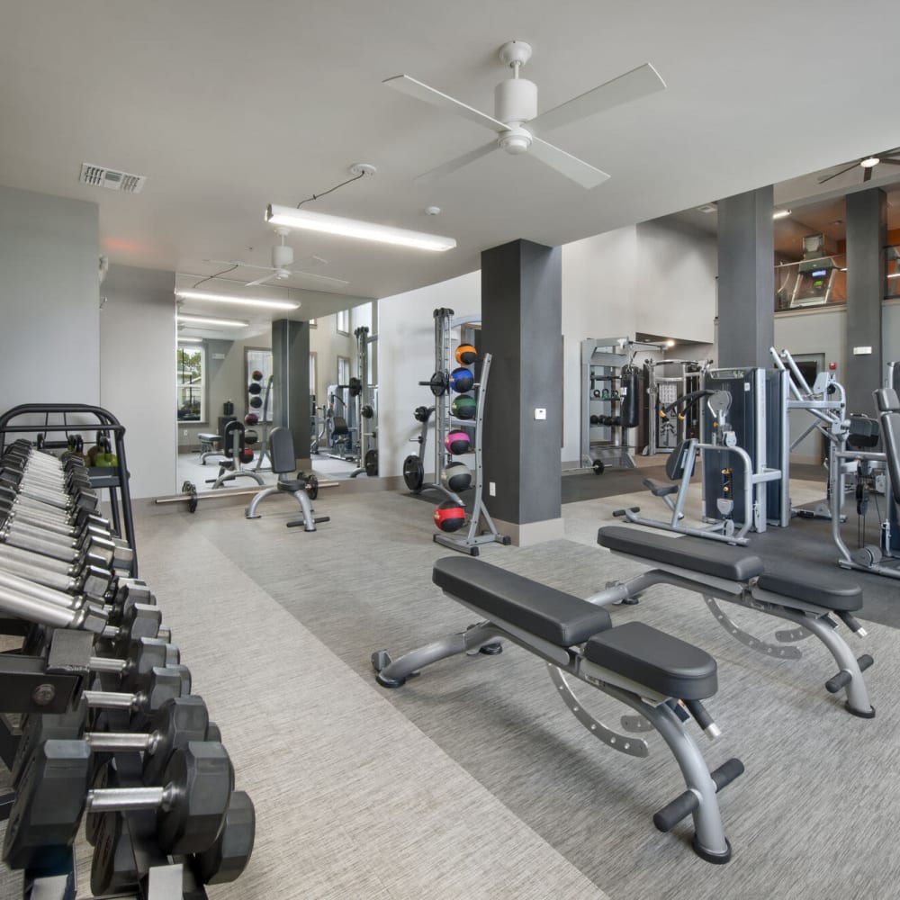 Free weights in the fitness center at Alcove Apartments in Orlando, Florida