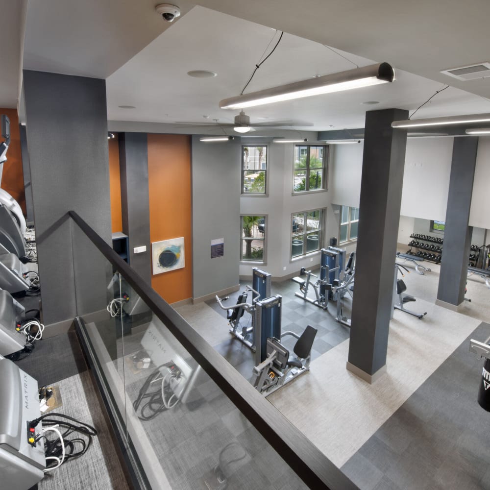 Large fitness center at Alcove Apartments in Orlando, Florida