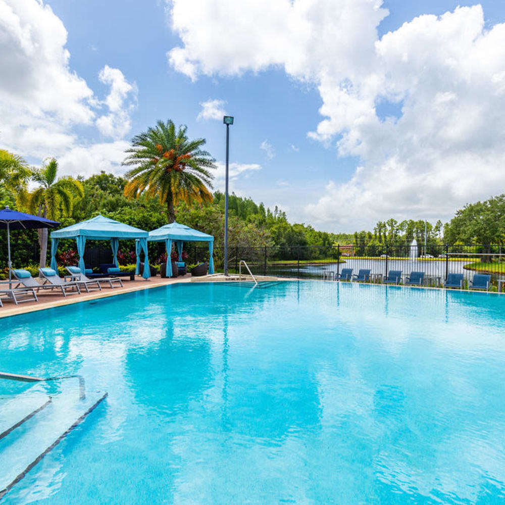 Refreshing swimming pool at Arbors at Carrollwood in Tampa, Florida