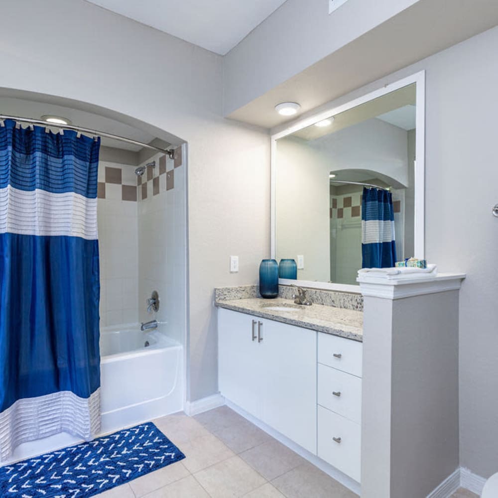 Bathroom with great lighting at Arbors at Carrollwood in Tampa, Florida