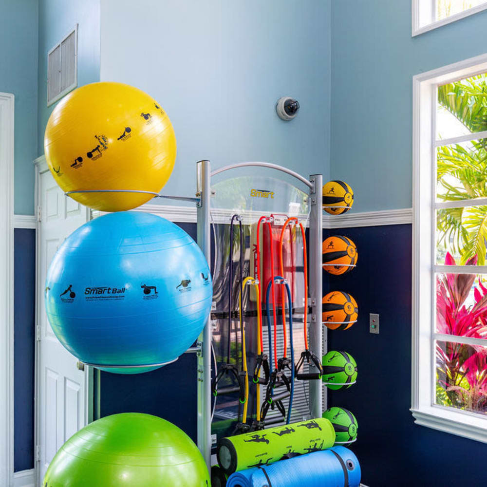 Fitness center with exercise balls at Arbors at Carrollwood in Tampa, Florida