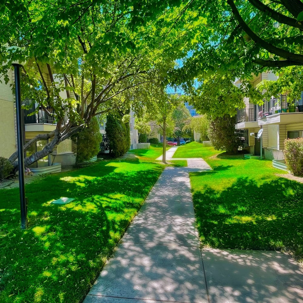 A paved walkway lined with lush trees at Regency Apartments in Salt Lake City, Utah