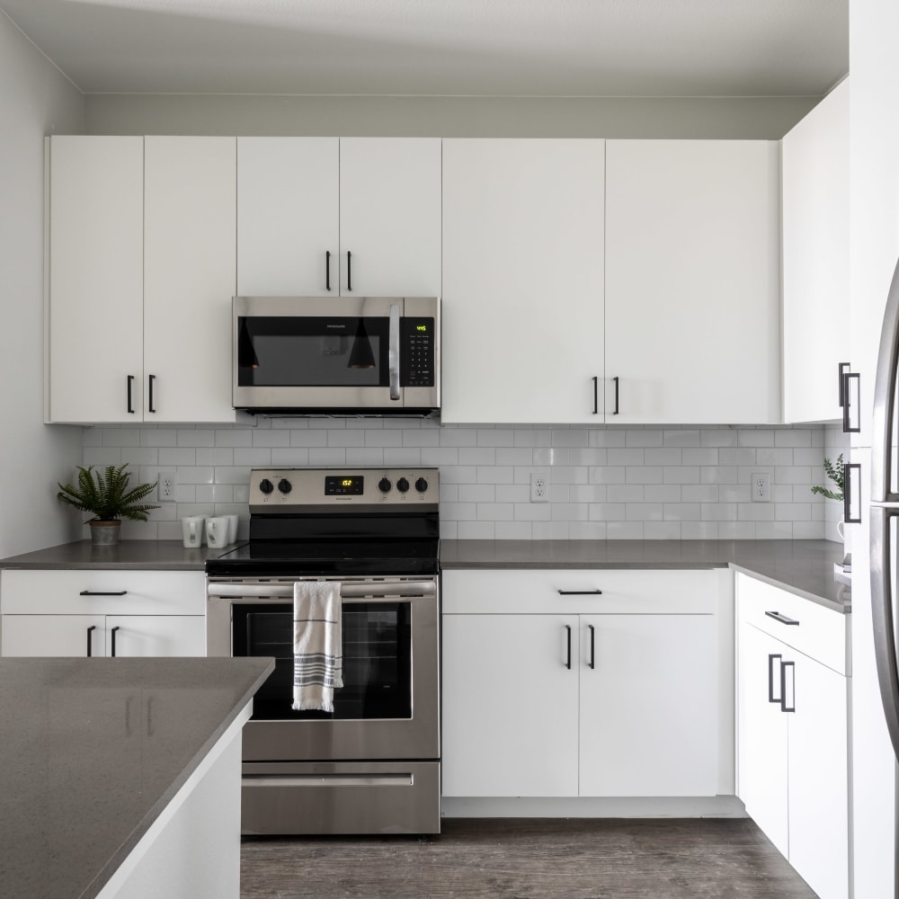 Modern kitchen with stainless-steel at Ladora Modern Apartments in Denver, Colorado