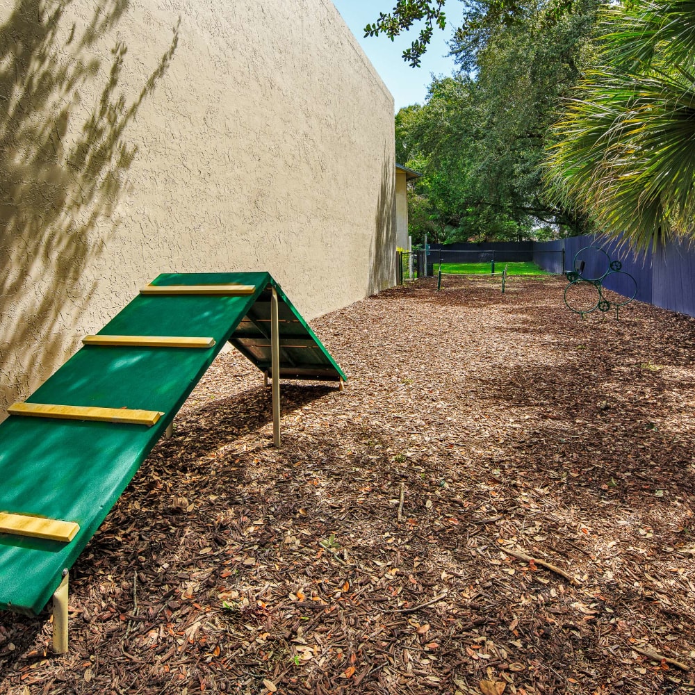 Pet park with pet toys at WestEnd Apartments in Tampa, Florida