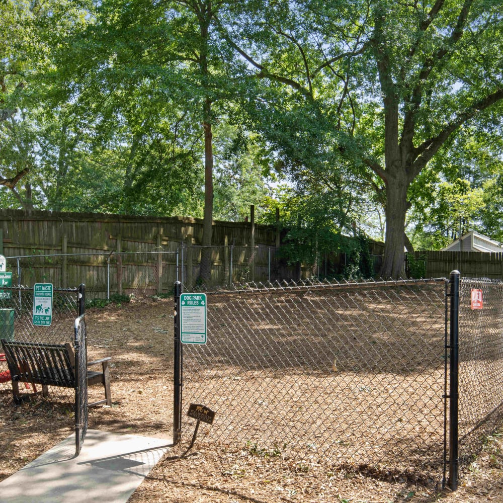 Dog park at Oak Pointe in Atlanta, Georgia