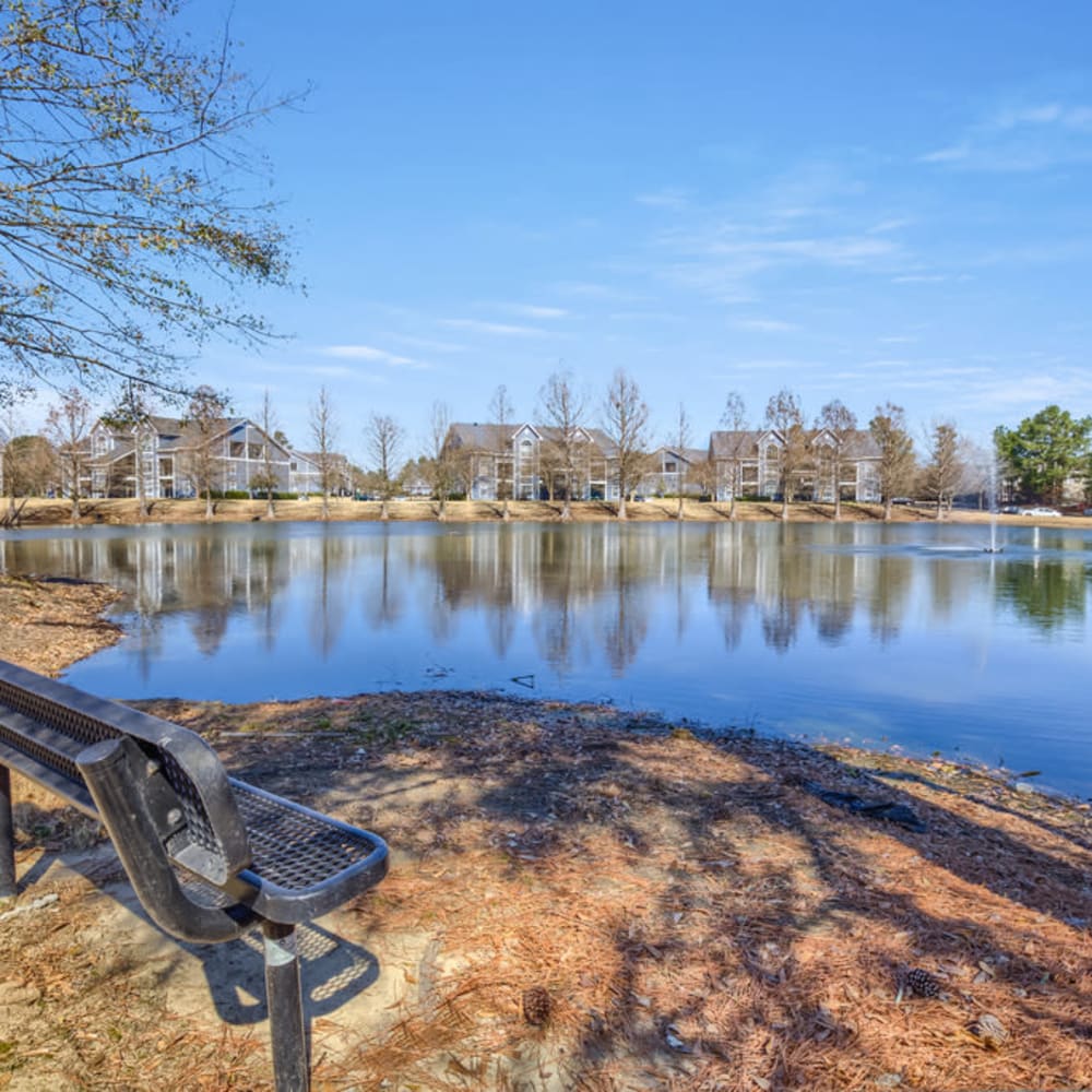A park bench facing the pond at Spring Lake in Byram, Mississippi