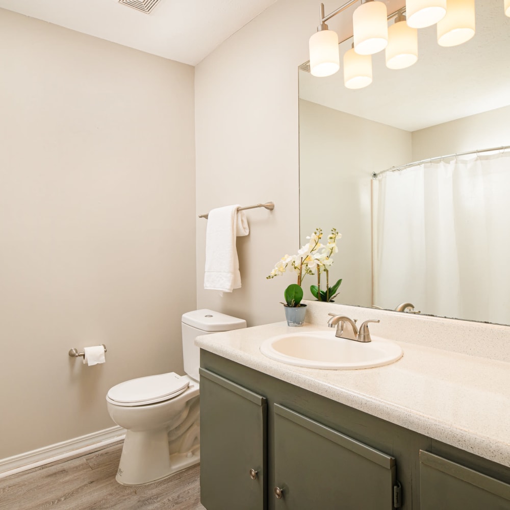 Plenty of counterspace in an apartment bathroom at Midsouth 301 in Jackson, Mississippi