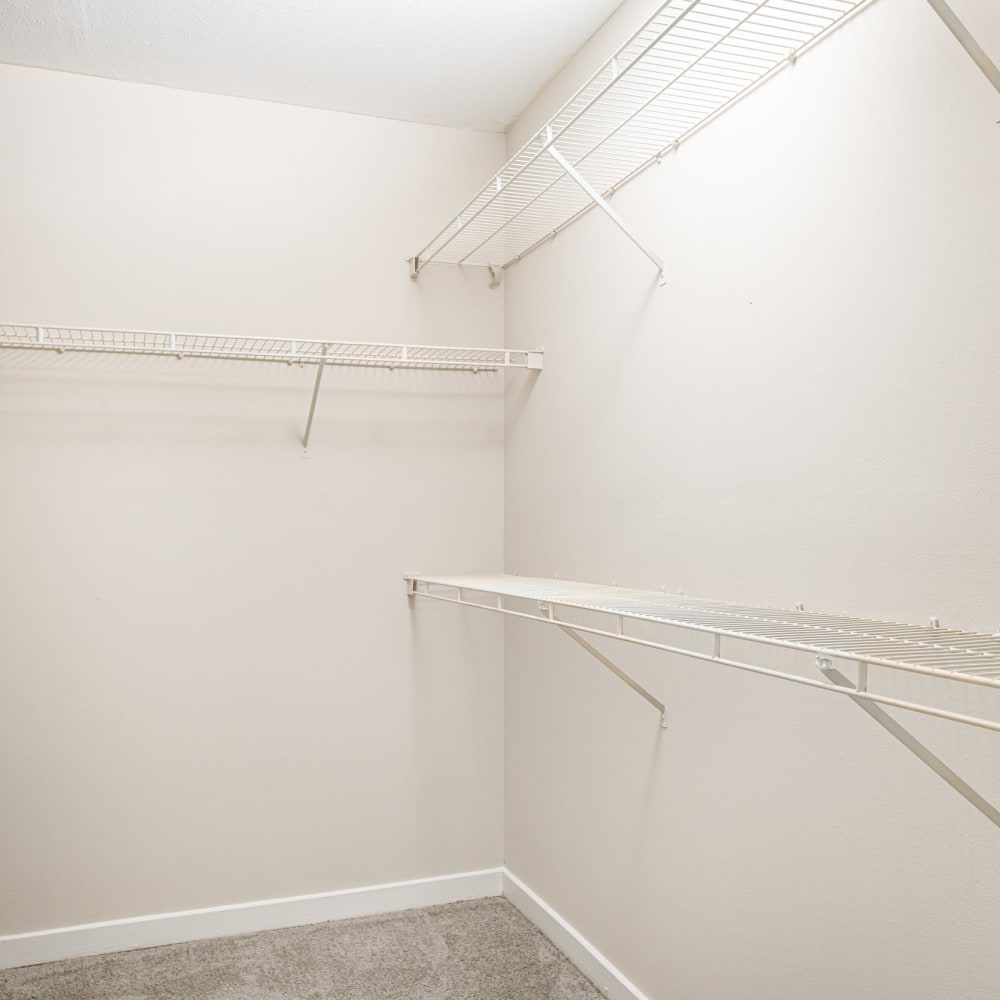 Shelving in a walk-in closet at Windsor Lake in Brandon, Mississippi