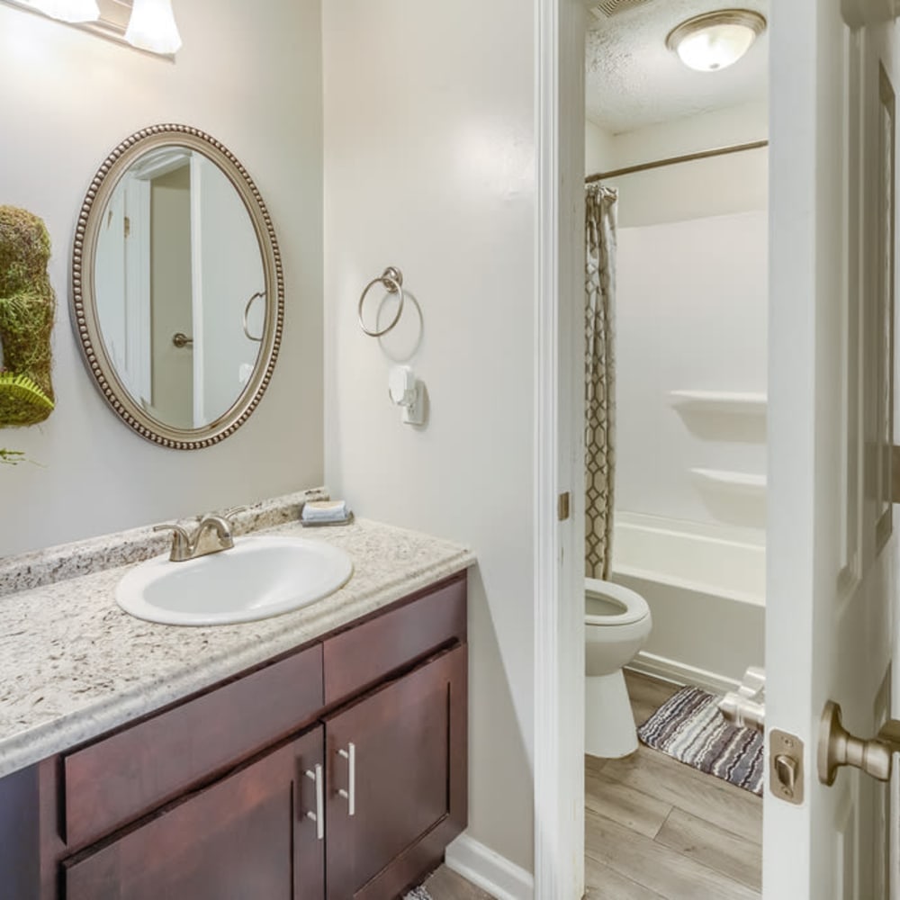 A bathroom sink and open door to the toilet and bathtub in an apartment at Northbrook & Pinebrook in Ridgeland, Mississippi