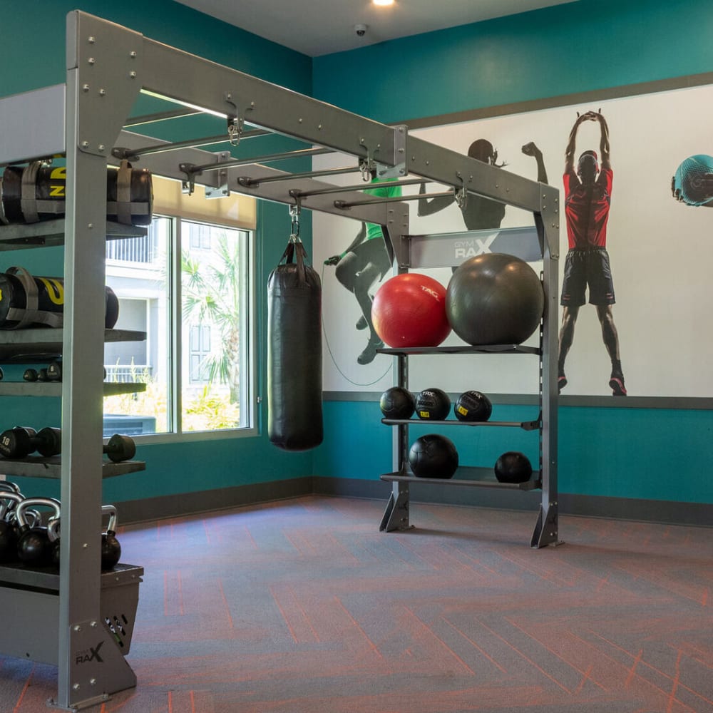 Fitness center at Venue Live Oak in Sarasota, Florida