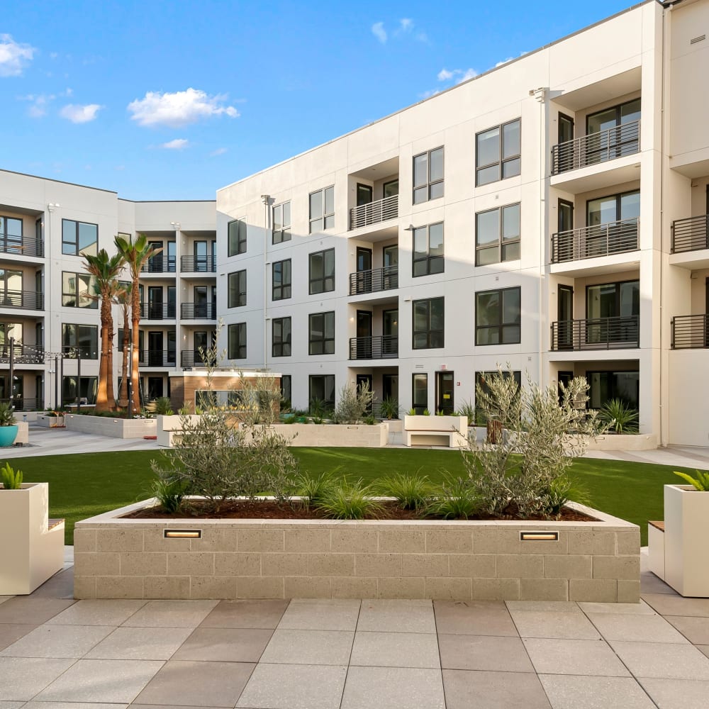 Community Courtyard space at Artisan Crossing in Belmont, California