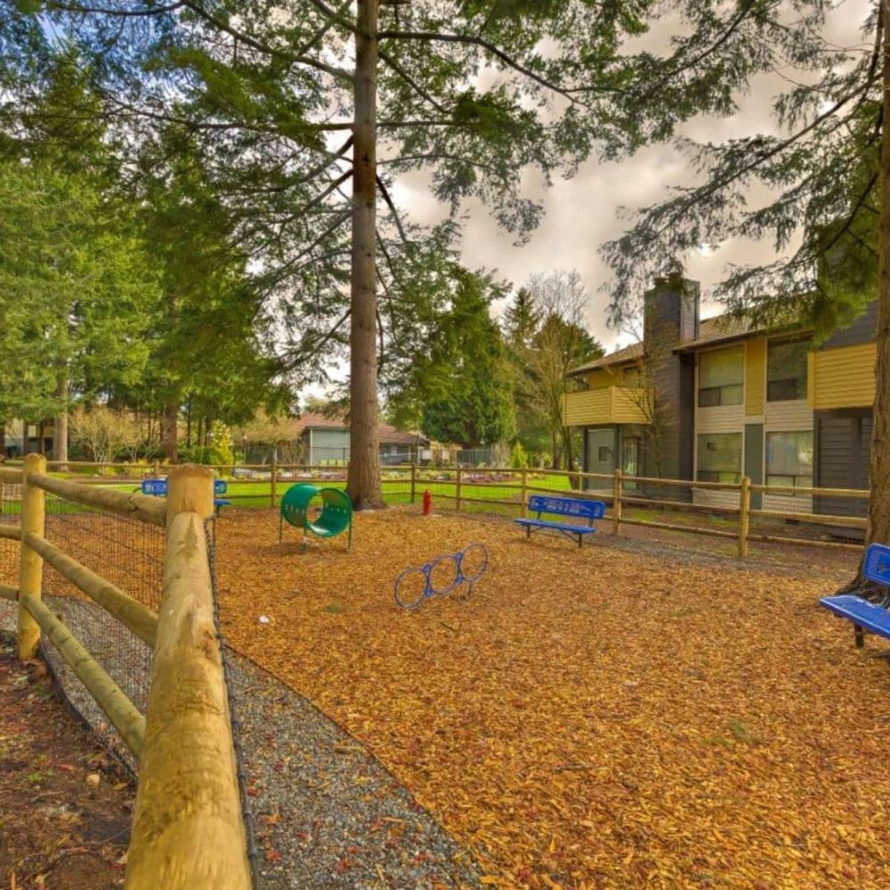 Dog park at The Commons in Federal Way, Washington