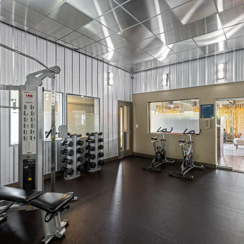 Fitness center with free weights at Constellation in Renton, Washington