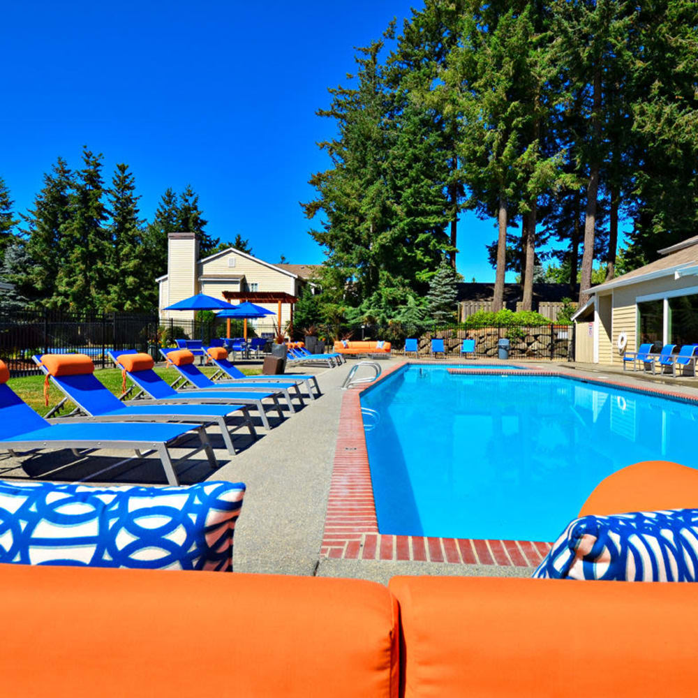 Refreshing swimming pool at The Windsor in Renton, Washington