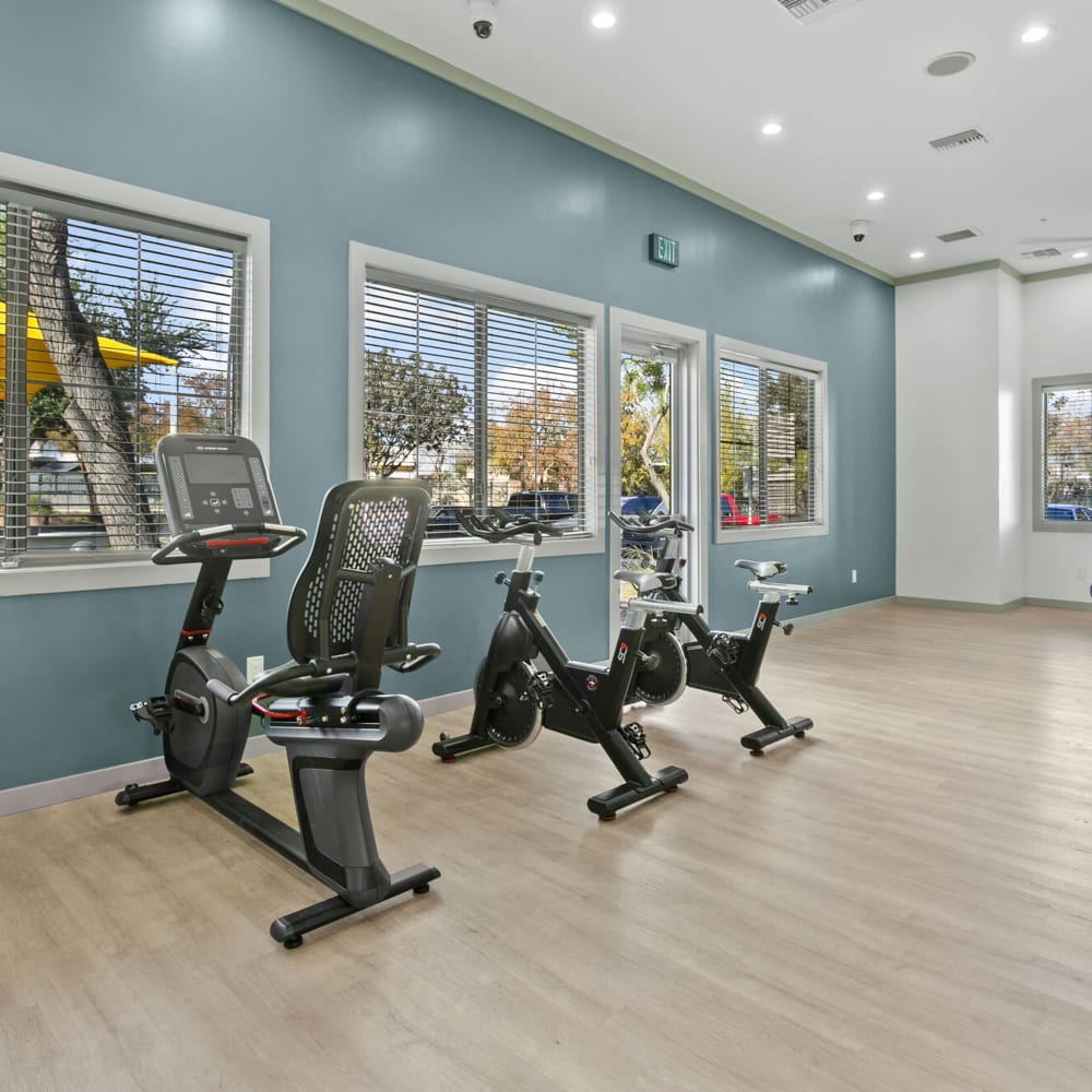Seated gym equipment at Townhomes at Kyrene in Tempe, Arizona