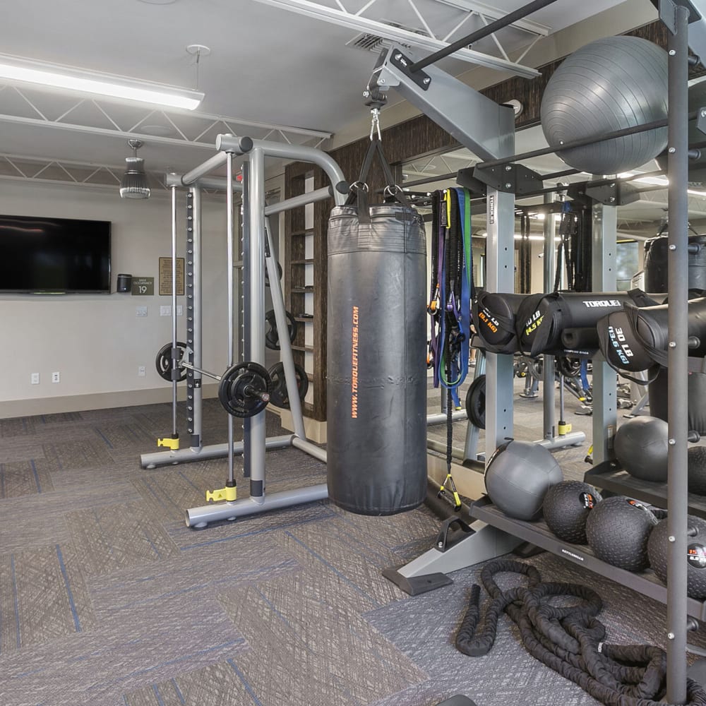 Fitness center with punching bag at Luxe Scottsdale in Scottsdale, Arizona