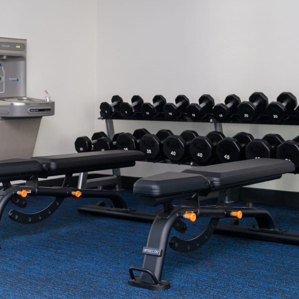 Fitness center work out benches at Azure in Antelope, California