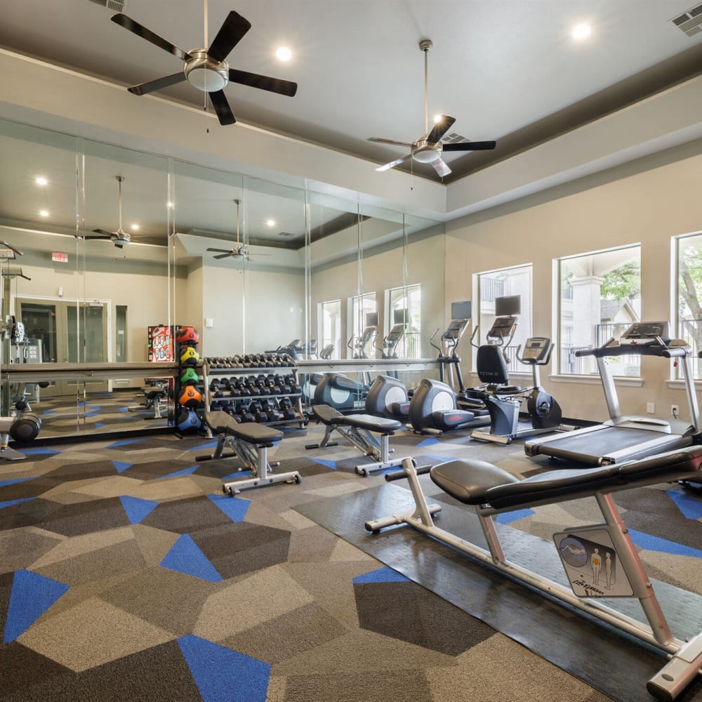 Gym area at Lakes At Lewisville in Lewisville, Texas 