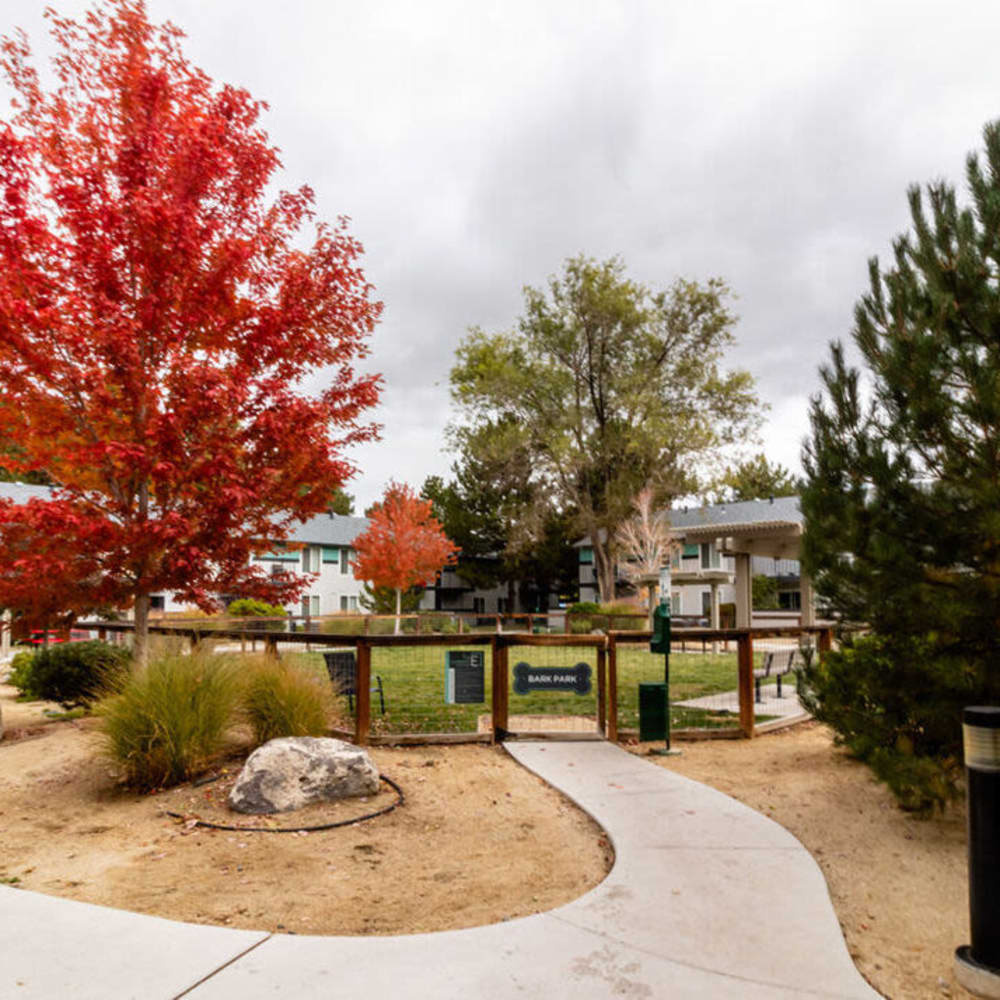 Dog park at The Element Apartments in Reno, Nevada