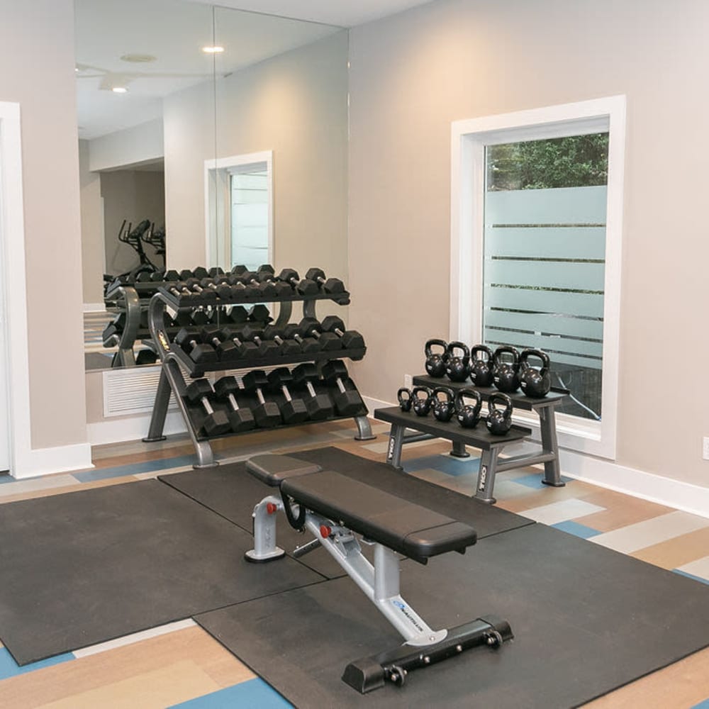 Fitness and weights room at The Prato at Midtown in Atlanta, Georgia