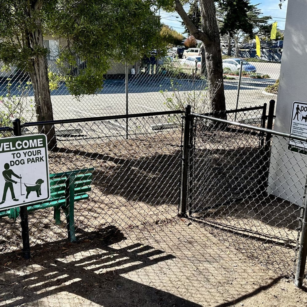 Fenced dog park at Marina Crescent in Marina, California