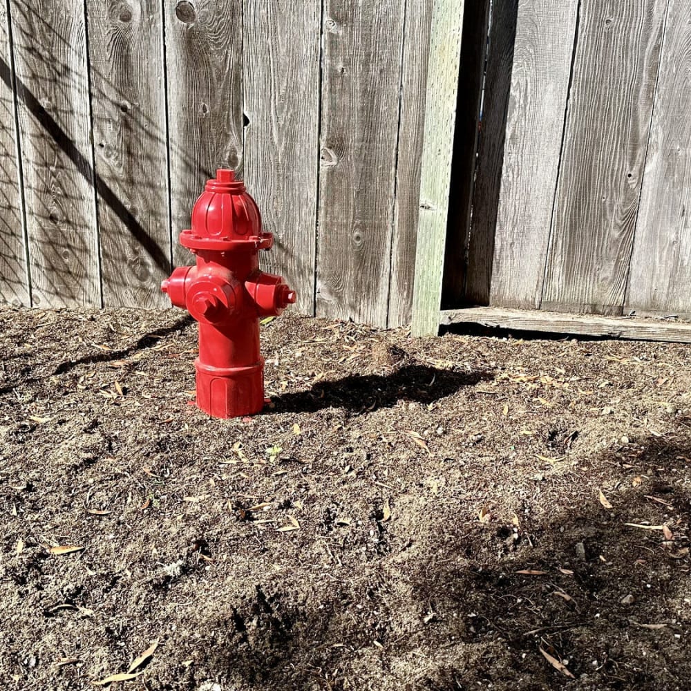Fire hydrant in dog park at Marina Crescent in Marina, California
