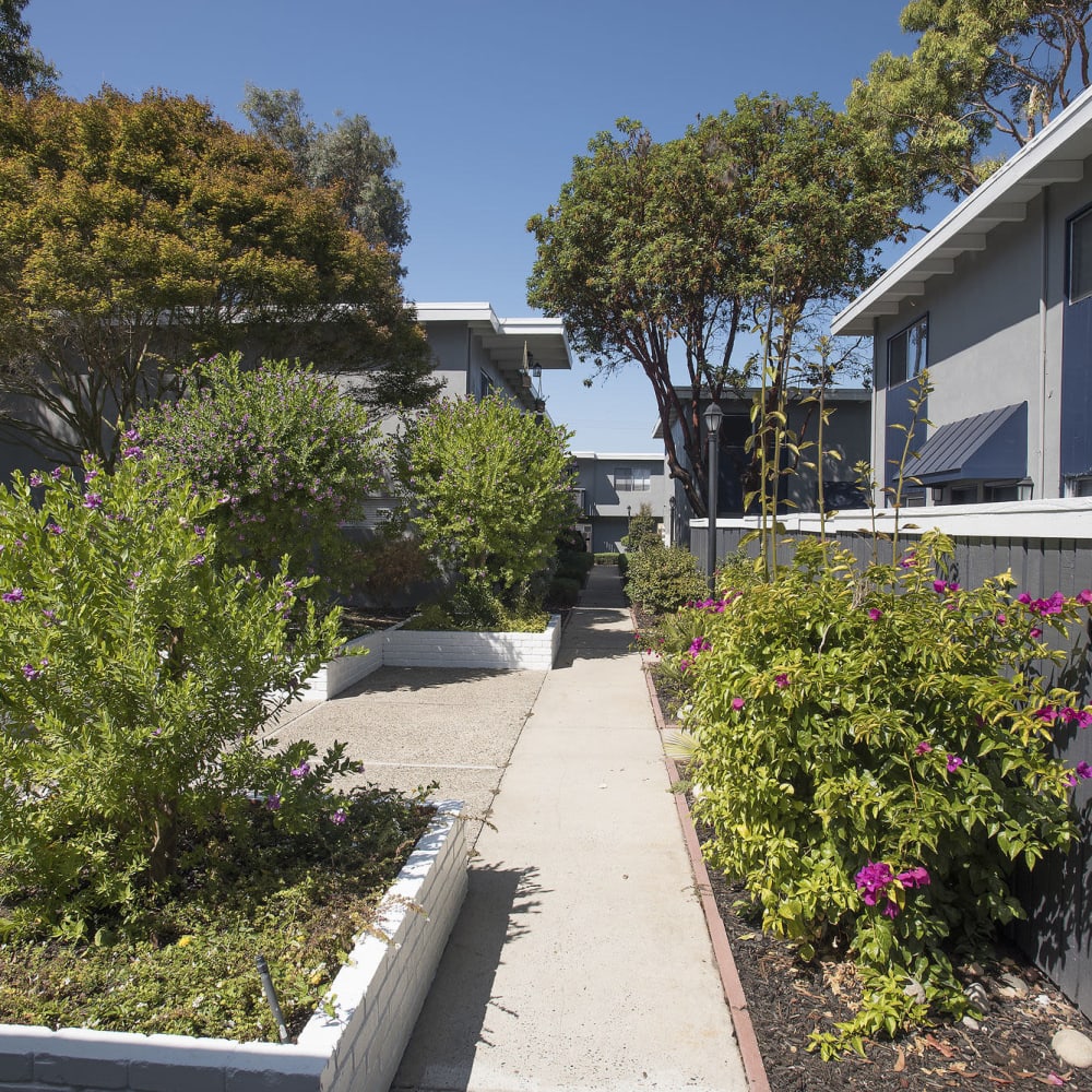 Pathways with great landscaping at Monterey Townhouse in Monterey, California