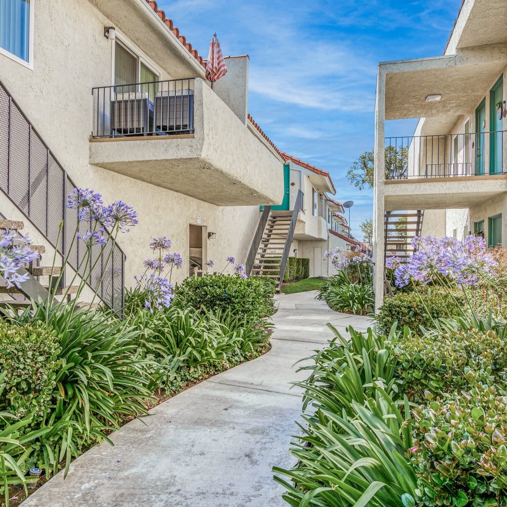 Court yard and walkway at Cypress Villa Apartments in La Habra, California