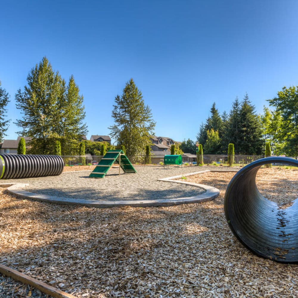 Playground The Fairways in Tacoma, Washington