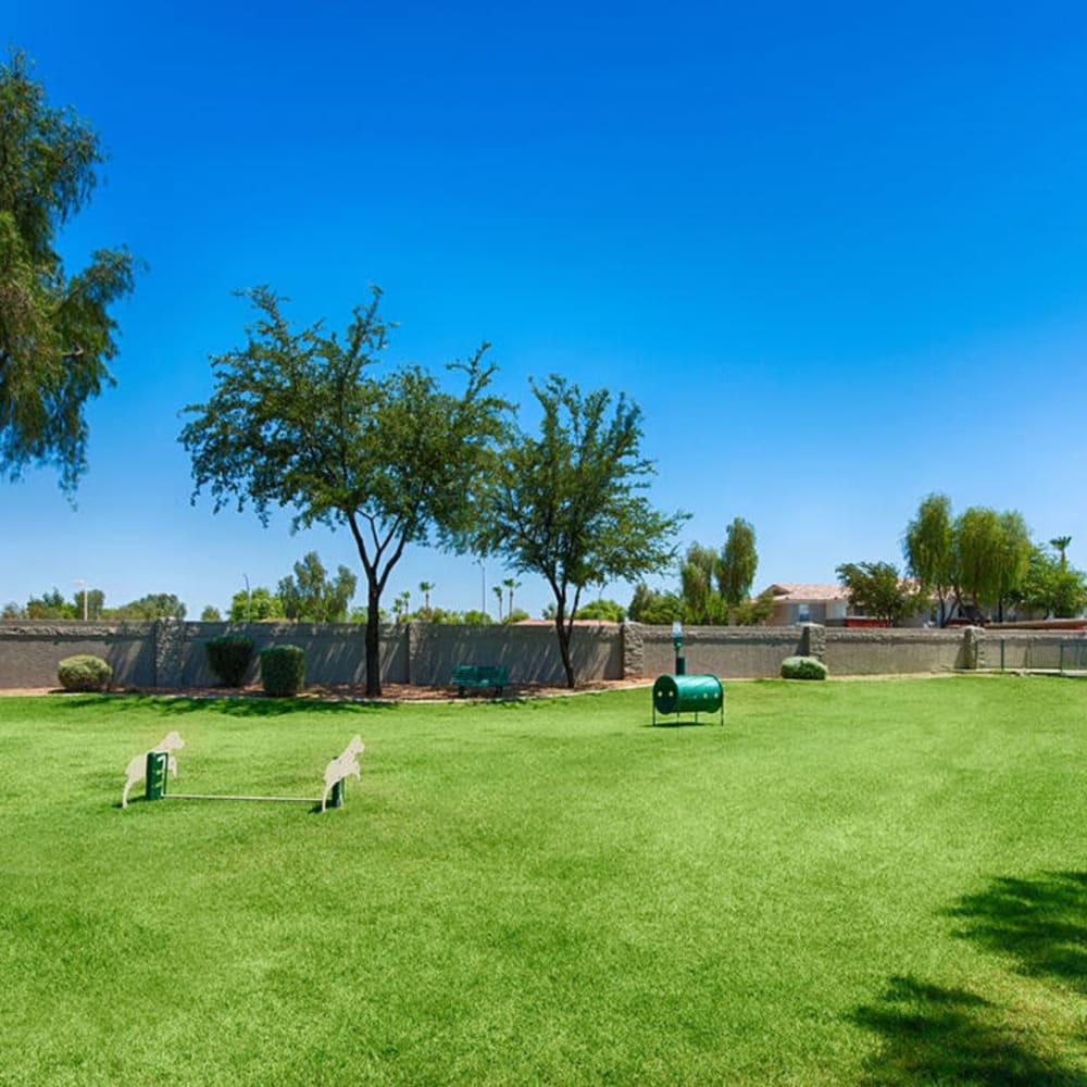 Large dog park Envision in Mesa, Arizona
