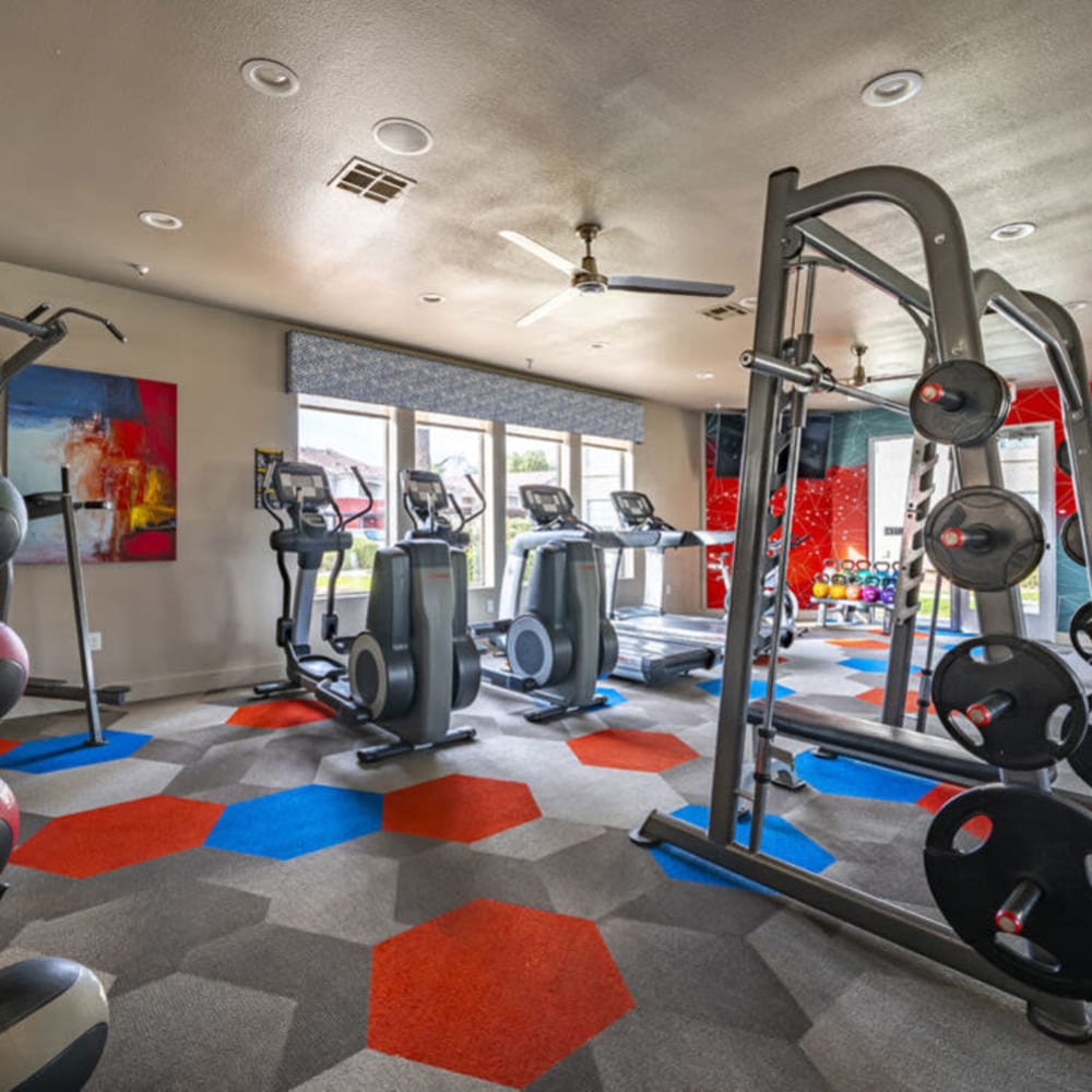 Gym with cardio equipment at Envision in Mesa, Arizona