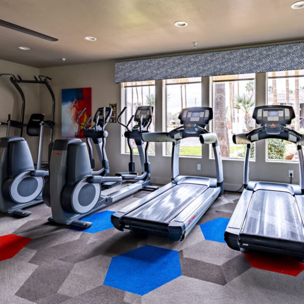 Fitness center with cardio equipment Envision in Mesa, Arizona