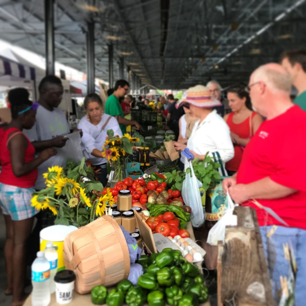 people at farmers market near Harvest Lofts in Dallas, Texas