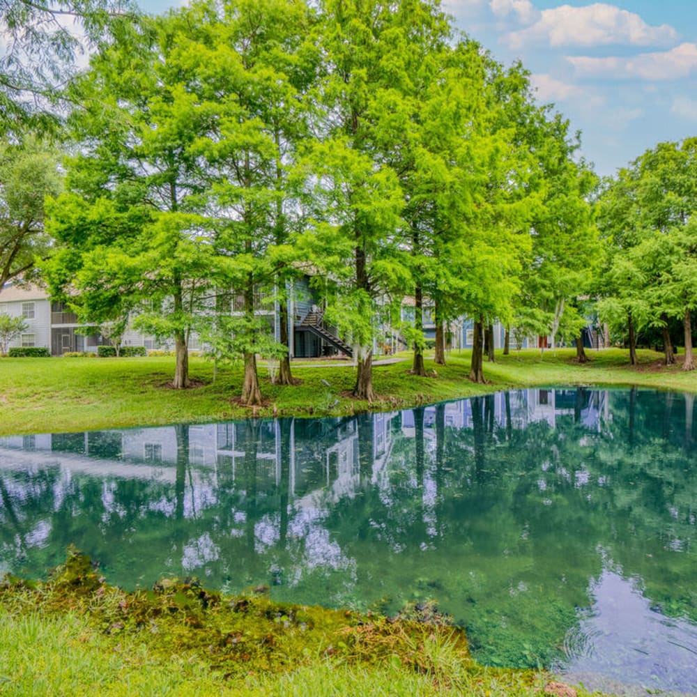 Pond near The Crest at Altamonte in Altamonte Springs, Florida