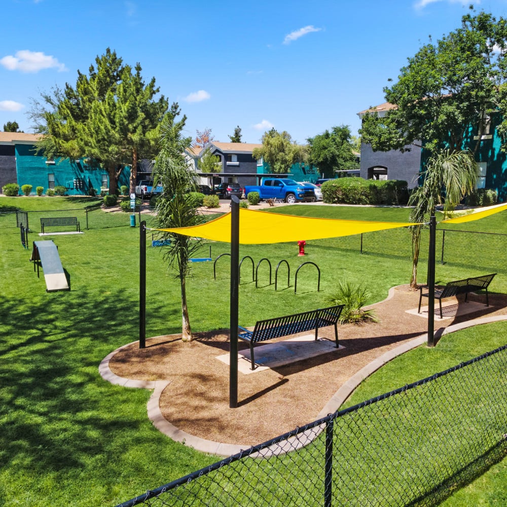 Dog Park at Morada Grande in Phoenix, Arizona