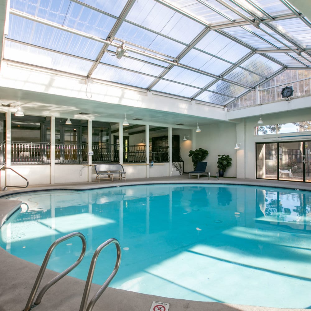 Indoor Swimming Pool at Local 1896 in Santa Fe, New Mexico
