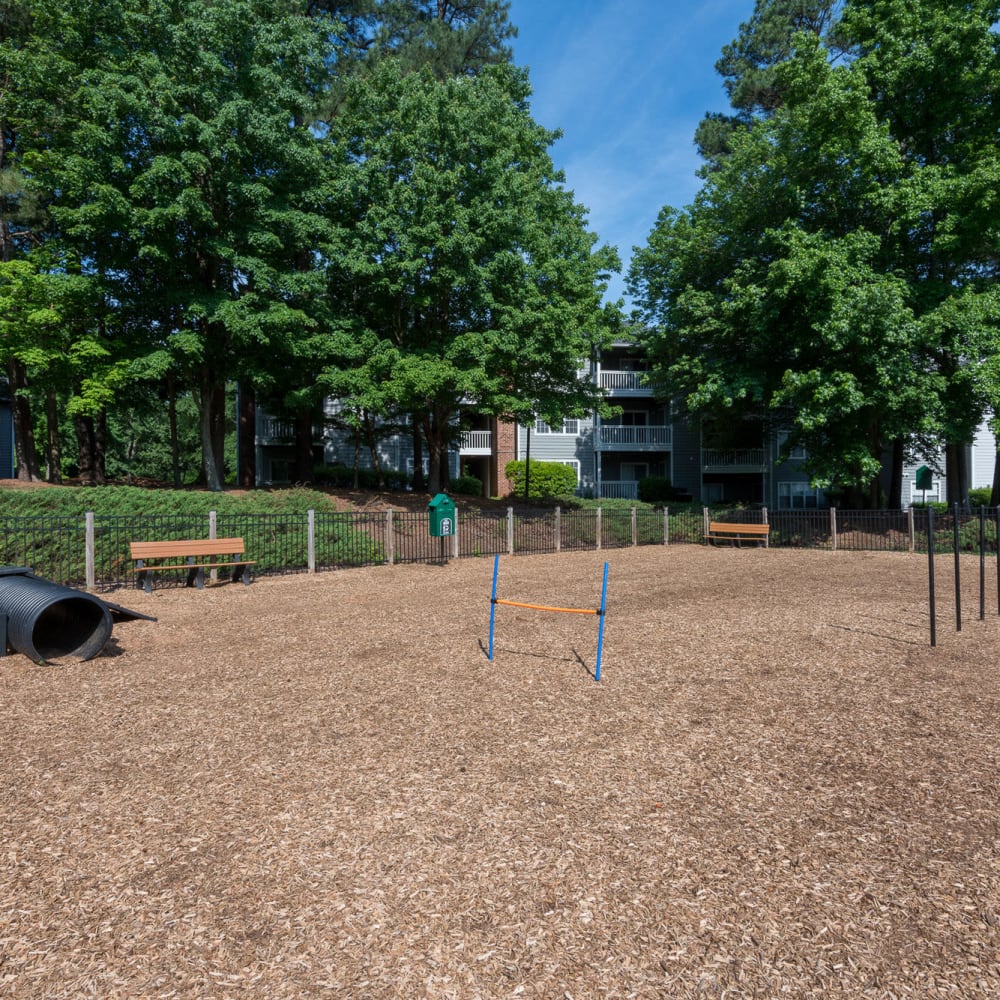 Bark park at Bridgeport in Raleigh, North Carolina