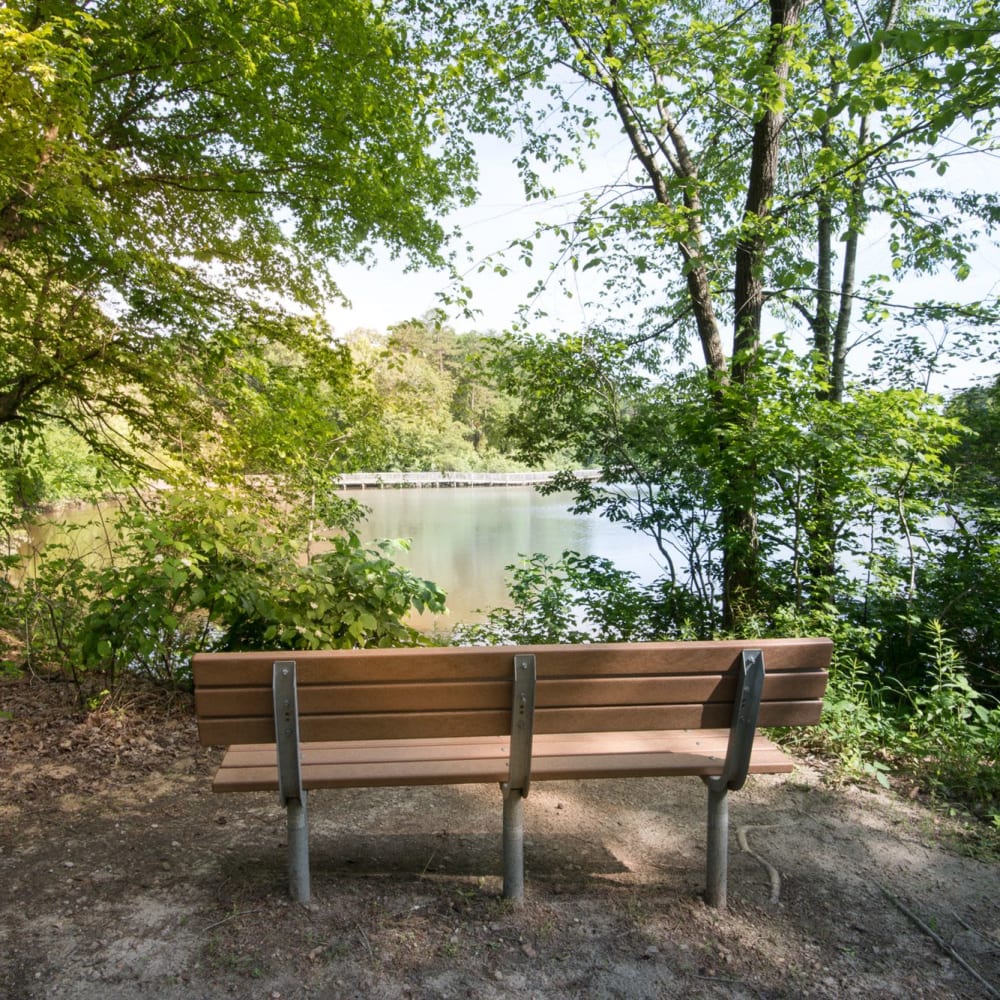 Park bench beside the lake at Bridgeport in Raleigh, North Carolina