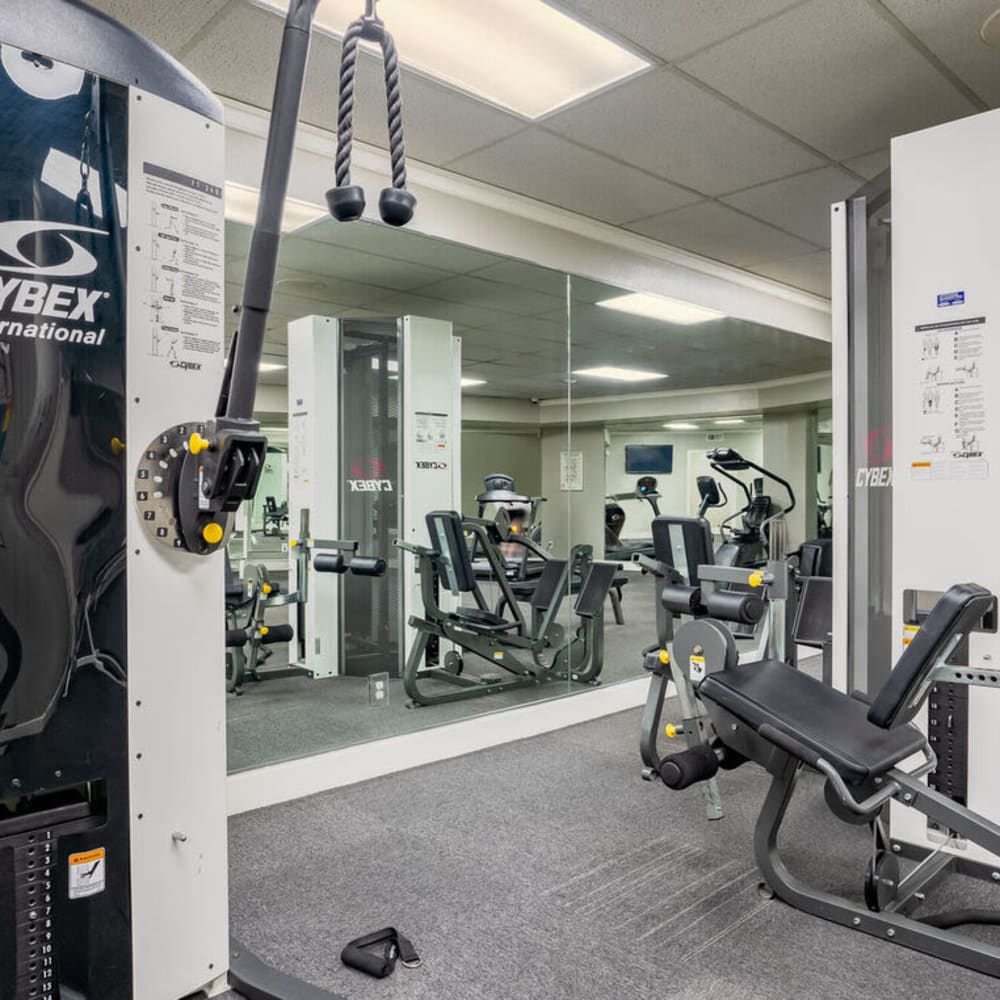 Fitness room at Glo Apartments in Albuquerque, New Mexico