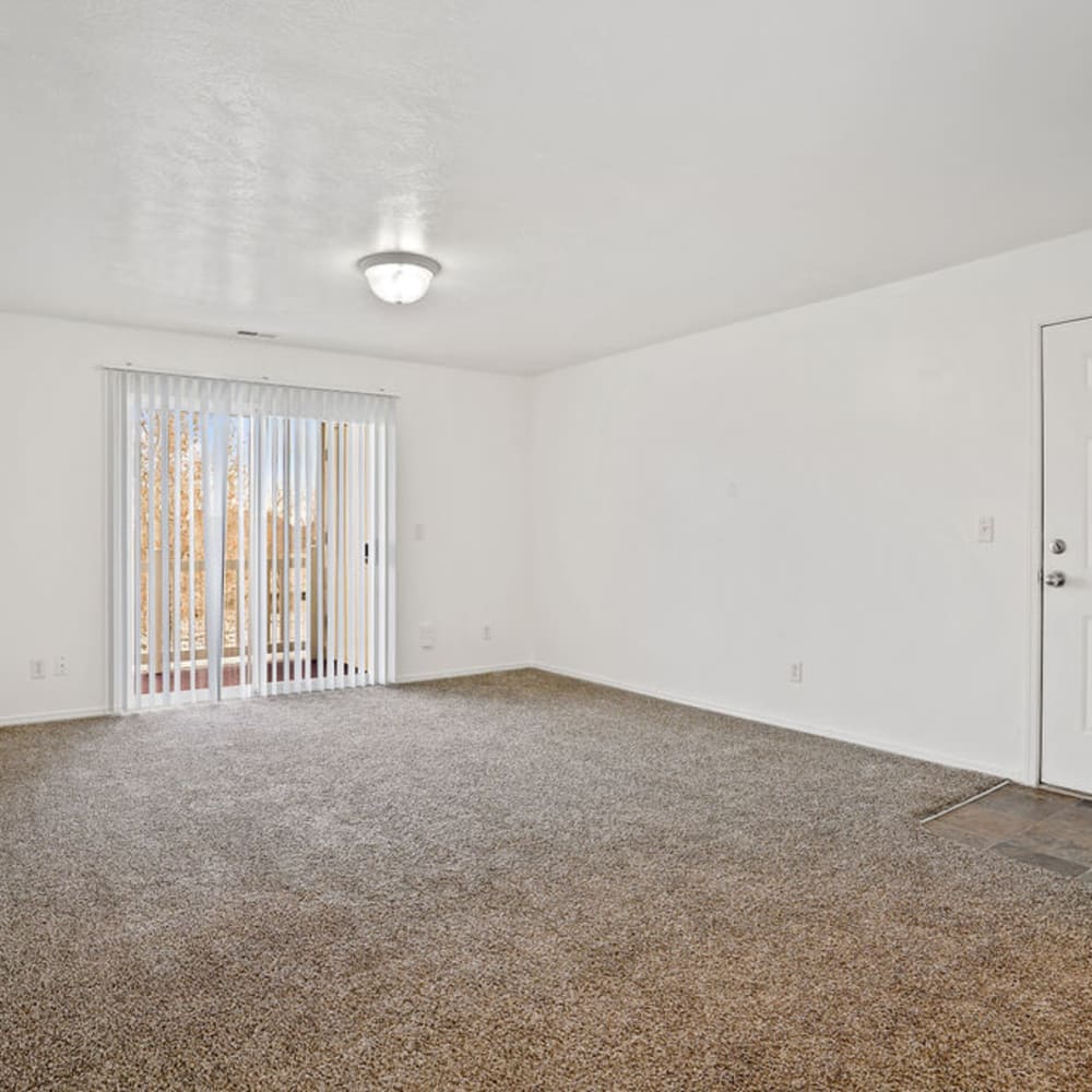 Plush carpeting in an apartment living room at Elk Run Apartments in Magna, Utah