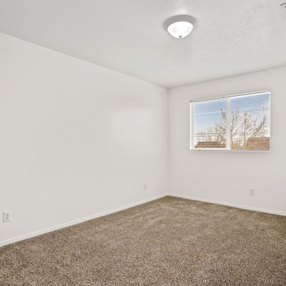 Plush carpeting in an apartment bedroom at Elk Run Apartments in Magna, Utah