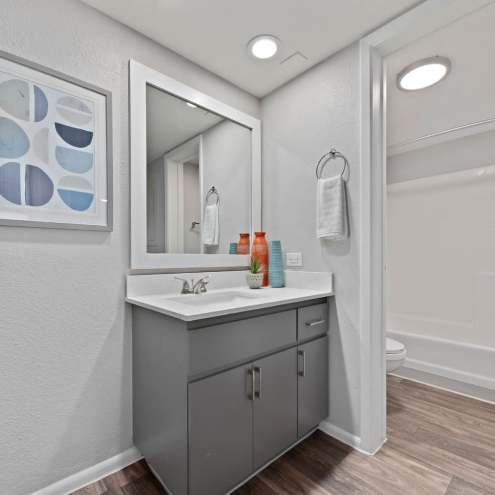 Bathroom with updated cabinetry at The Pointe at South Mountain in Phoenix, Arizona