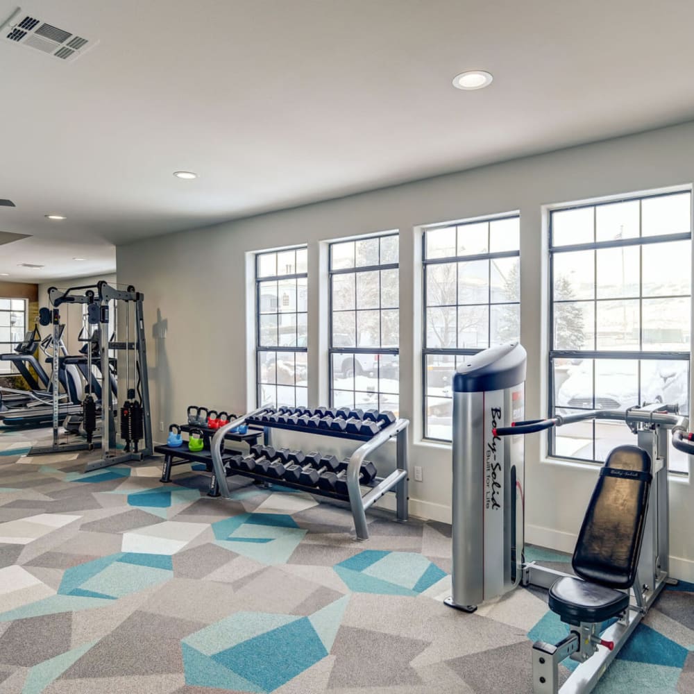 Fitness center with free-weights at Artemis at Spring Canyon in Colorado Springs, Colorado