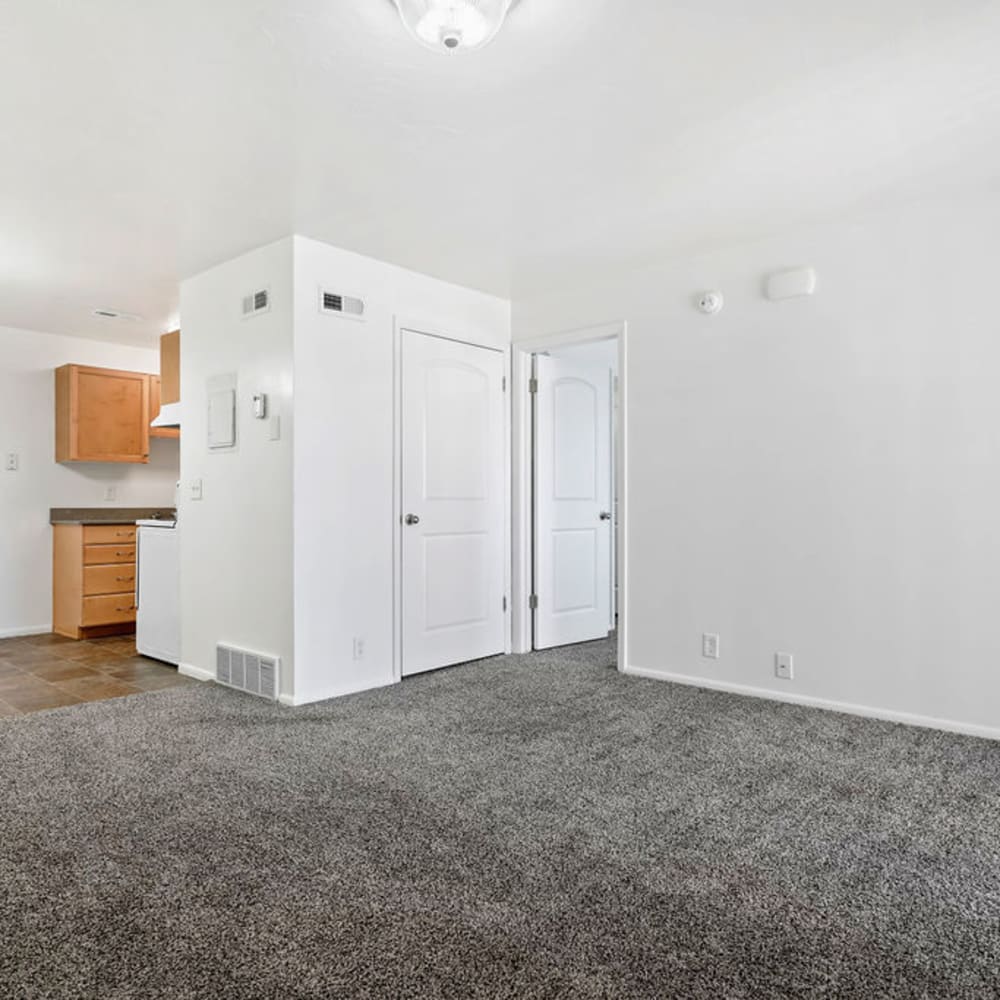 Plush carpeting in an apartment living room at Valley Park Apartments in Salt Lake City, Utah