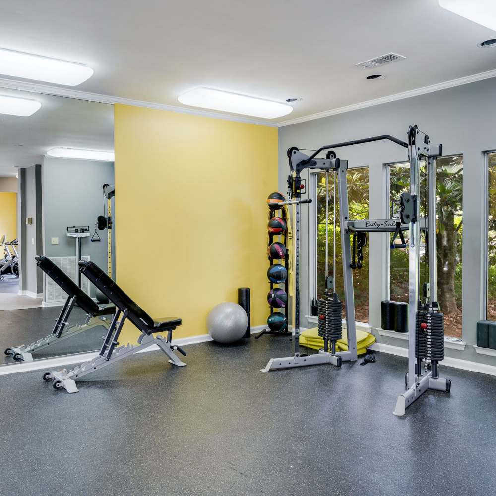 Fitness center with free weights at Ridgemont at Stringers Ridge in Chattanooga, Tennessee
