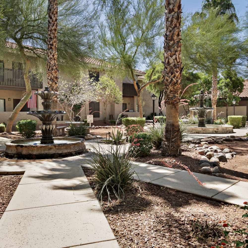 Well manicured walkways at Fountain Palms in Peoria, Arizona